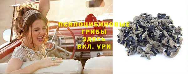 2c-b Абинск