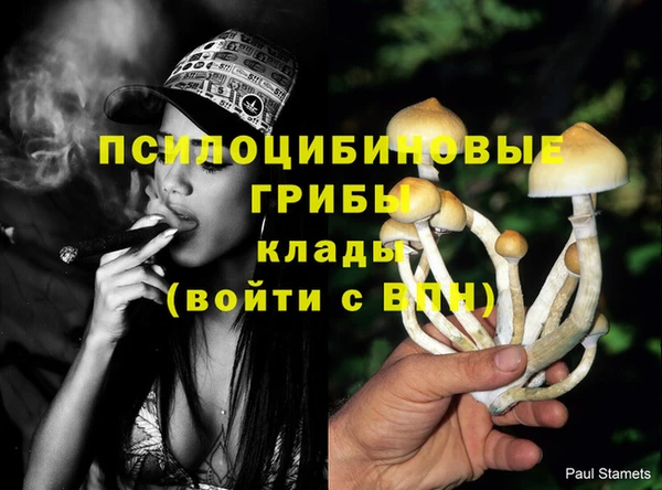 первитин Алексеевка